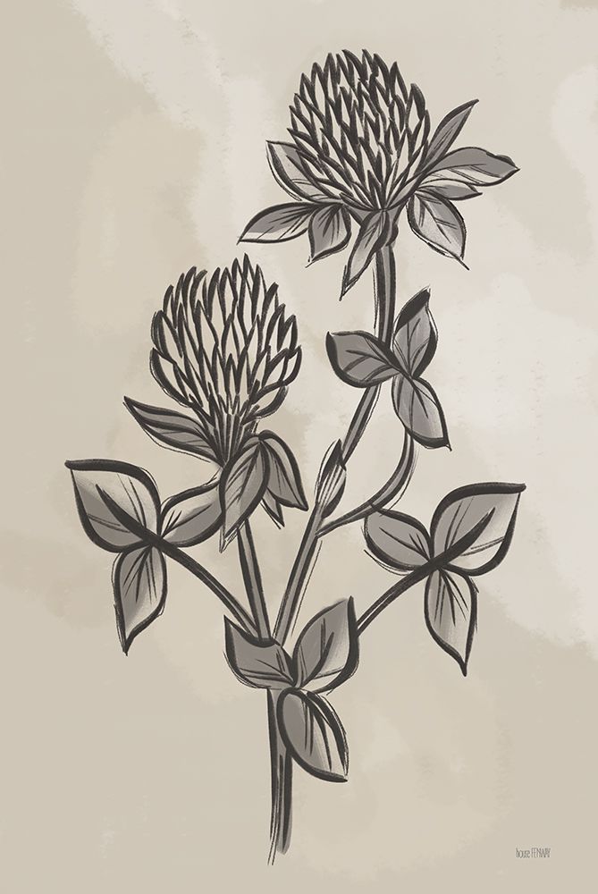 Vintage Clover Sketch II art print by House Fenway for $57.95 CAD