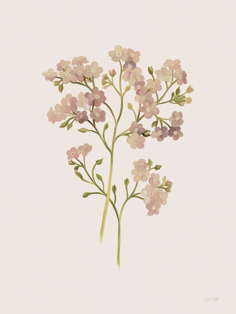 British Wildflower II art print by House Fenway for $57.95 CAD
