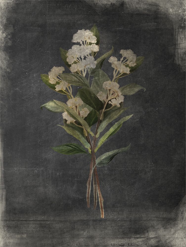 Gilded Yarrow art print by House Fenway for $57.95 CAD