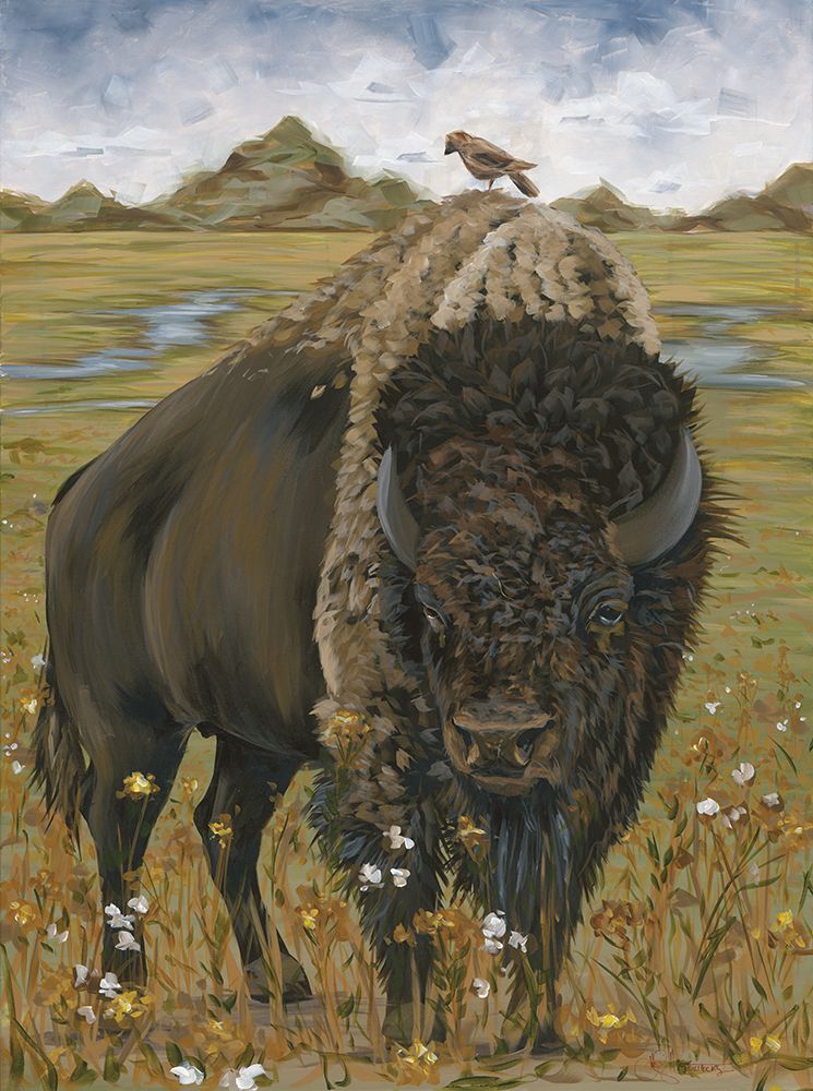 Bison art print by Hollihocks Art for $57.95 CAD