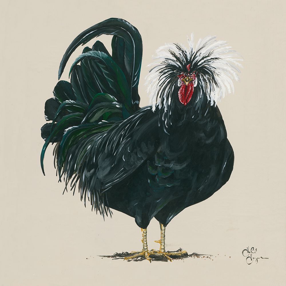 Chicken art print by Hollihocks Art for $57.95 CAD