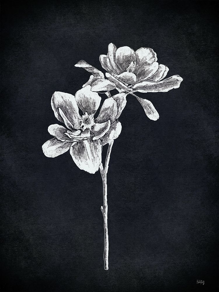 Magnolia Stem art print by Heidi Kuntz for $57.95 CAD