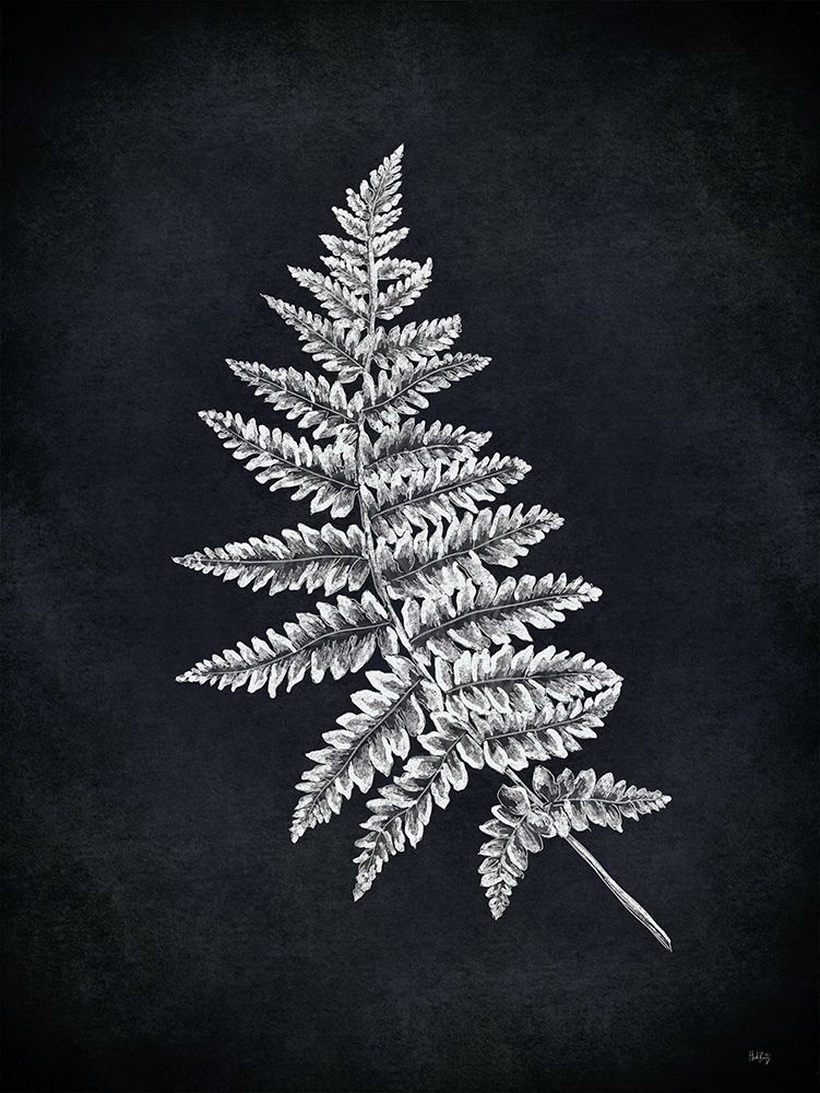 Fern Stem art print by Heidi Kuntz for $57.95 CAD