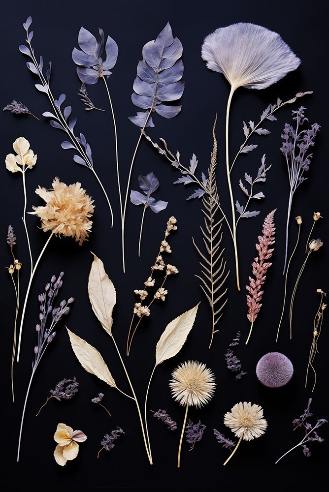 Amethyst Night Pressed Flowers II art print by Heidi Kuntz for $57.95 CAD