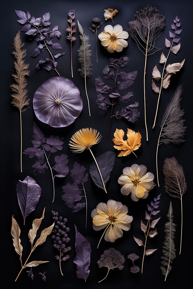 Amethyst Night Pressed Flowers III art print by Heidi Kuntz for $57.95 CAD