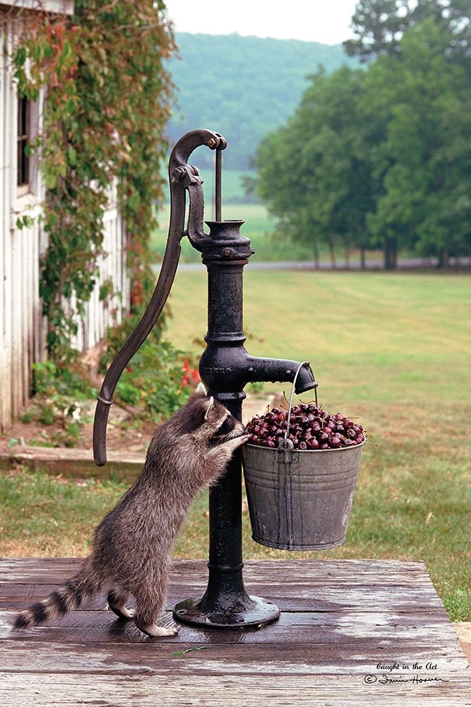 Caught in the Act art print by Irvin Hoover for $57.95 CAD