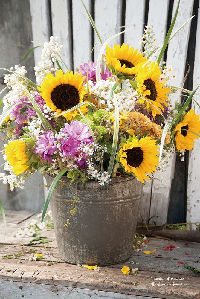 Bucket of Sunshine art print by Irvin Hoover for $57.95 CAD