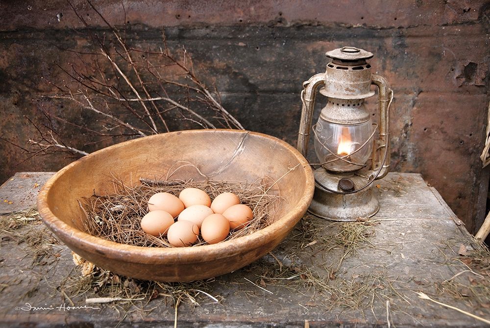 Egg Bowl art print by Irvin Hoover for $57.95 CAD