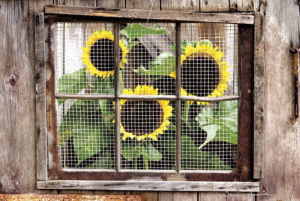 Looking In art print by Irvin Hoover for $57.95 CAD
