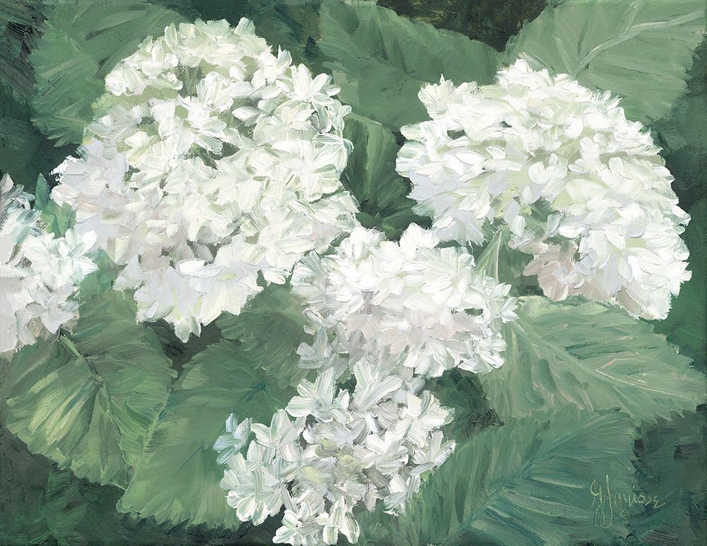 White Hydrangeas art print by Georgia Janisse for $57.95 CAD