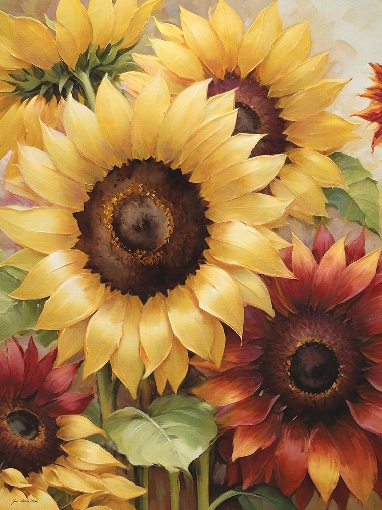 Sunflower Variety art print by Jo Moulton for $57.95 CAD