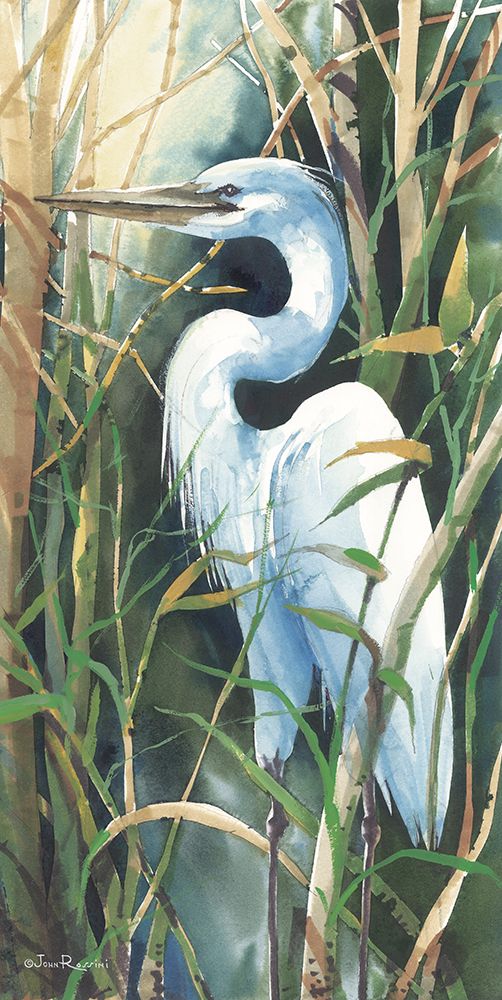 Providence Heron art print by John Rossini for $57.95 CAD