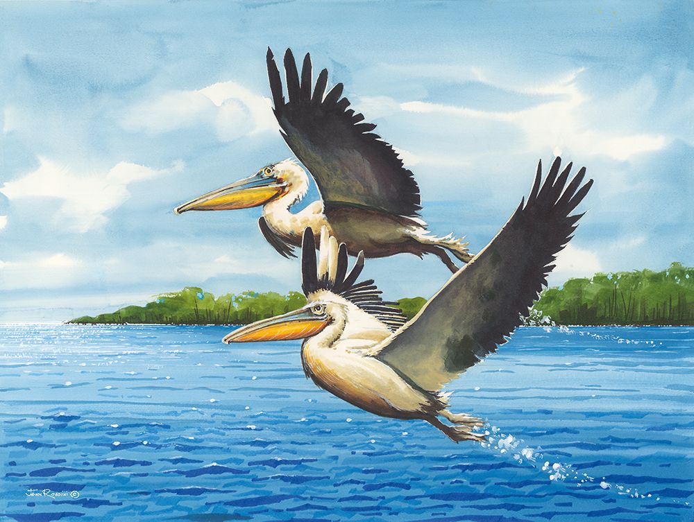 Flight art print by John Rossini for $57.95 CAD