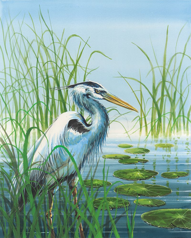 Among the Reeds art print by John Rossini for $57.95 CAD