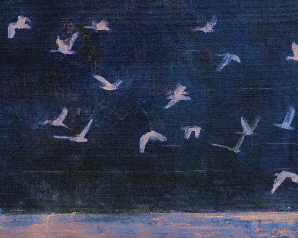Steller Evening art print by Kamdon Kreations for $57.95 CAD