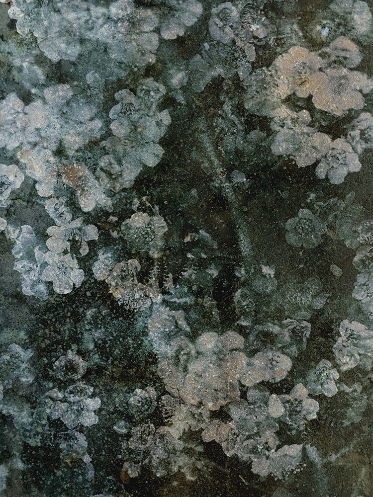 Morning Hunt art print by Kamdon Kreations for $57.95 CAD