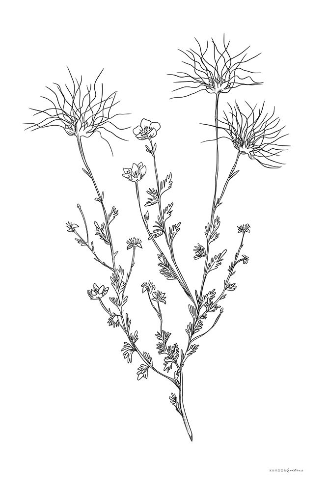 Soft Whisper art print by Kamdon Kreations for $57.95 CAD