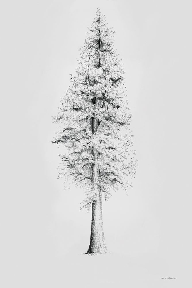 When a Redwood Isnt Red art print by Kamdon Kreations for $57.95 CAD