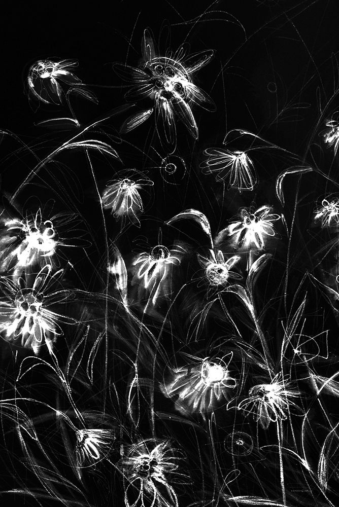 Beauty in the Darkness art print by Kamdon Kreations for $57.95 CAD