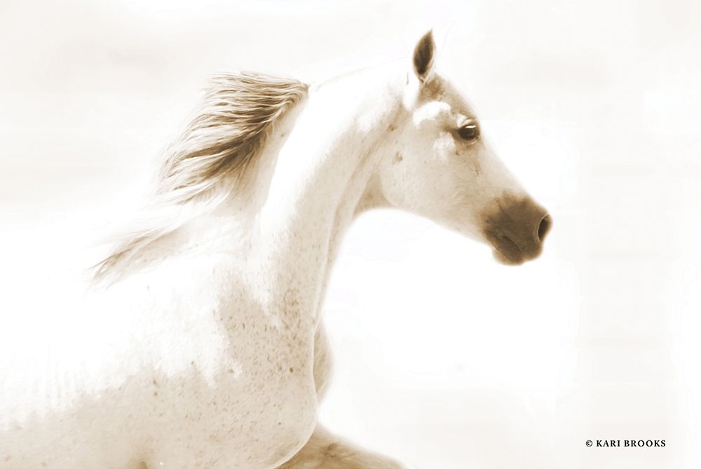 Dash I art print by Kari Brooks for $57.95 CAD