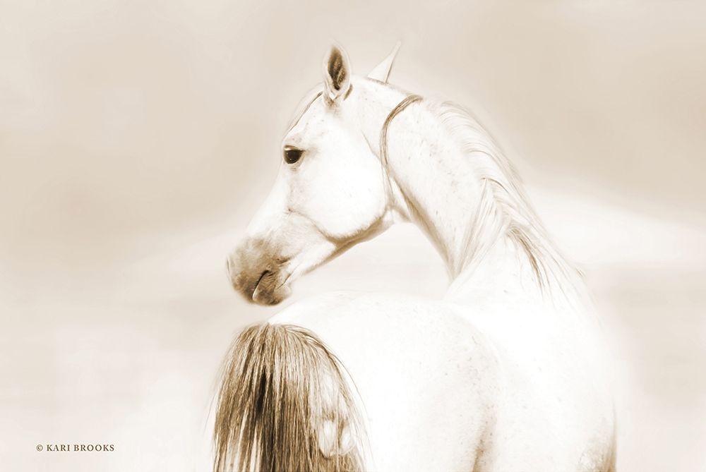 Dash II art print by Kari Brooks for $57.95 CAD