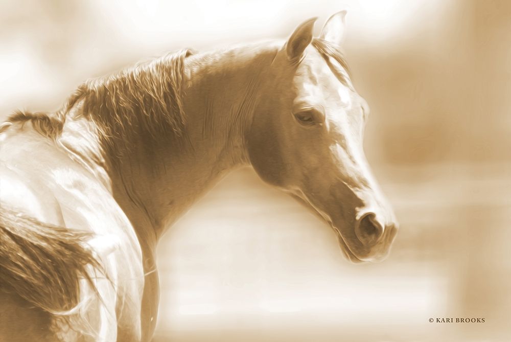 Rose I Sepia art print by Kari Brooks for $57.95 CAD