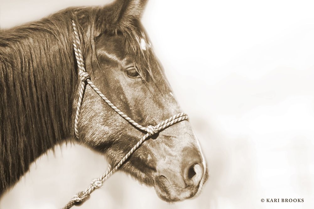 Sepia Thunder art print by Kari Brooks for $57.95 CAD