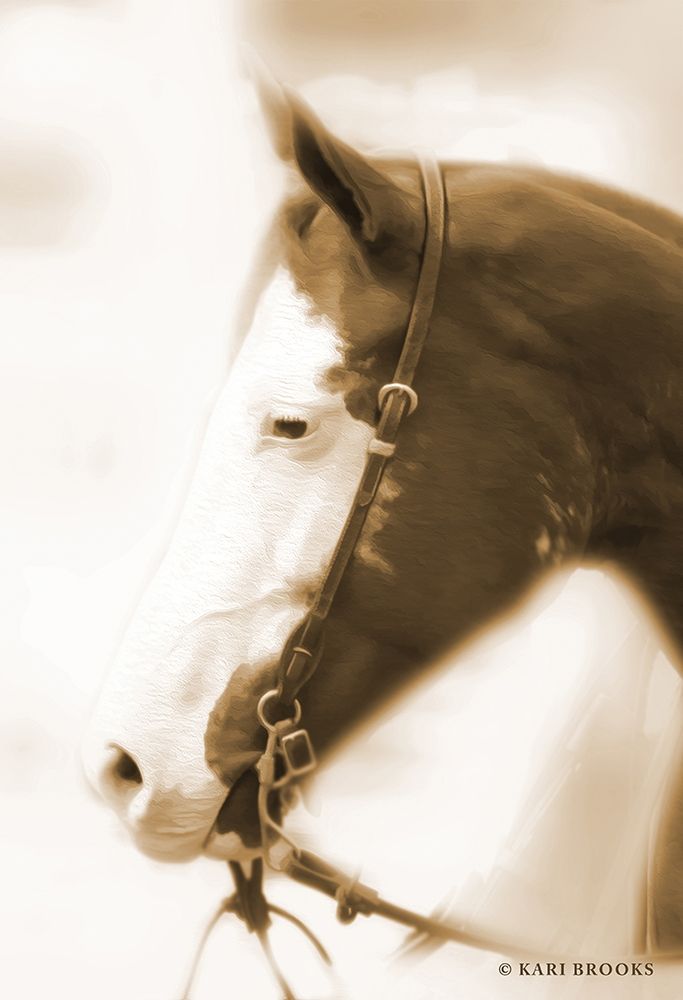 Sepia Dream art print by Kari Brooks for $57.95 CAD