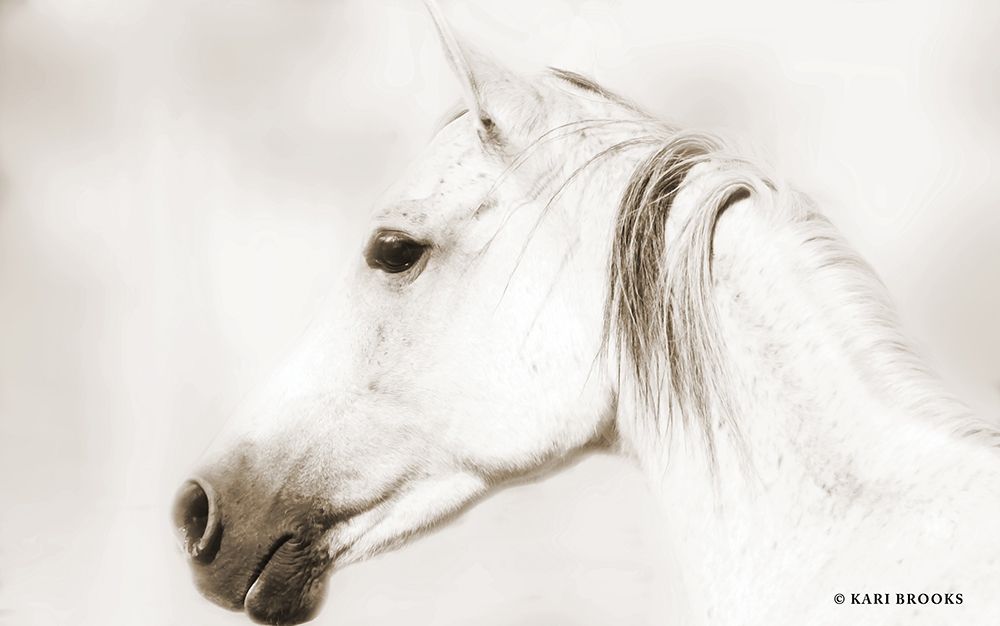 Dash IV art print by Kari Brooks for $57.95 CAD