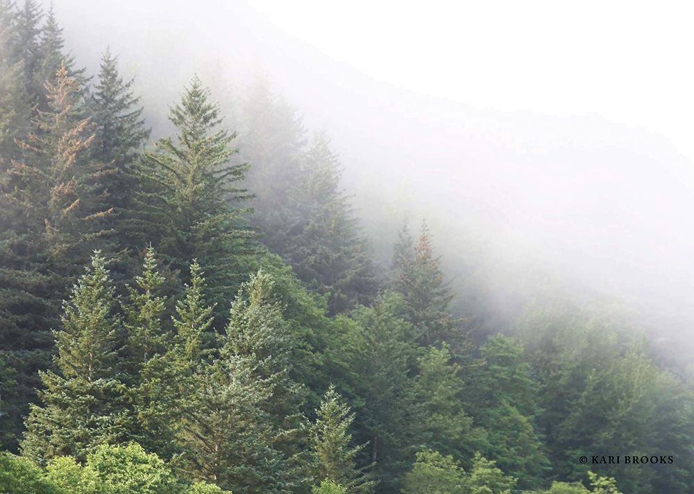 Alaska Green Trees I art print by Kari Brooks for $57.95 CAD