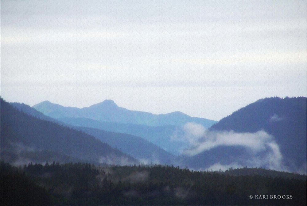 Blue Hills And Fog art print by Kari Brooks for $57.95 CAD