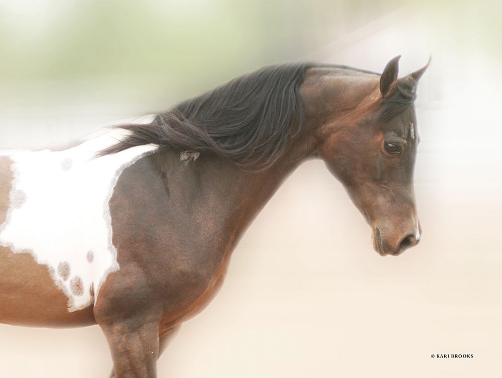 Painted Beauty art print by Kari Brooks for $57.95 CAD