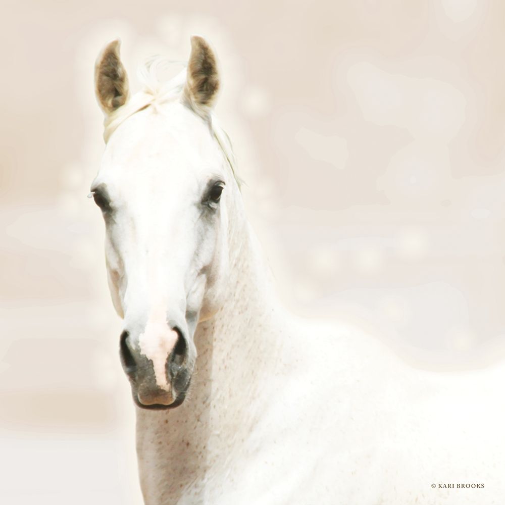 Bella Luna art print by Kari Brooks for $57.95 CAD