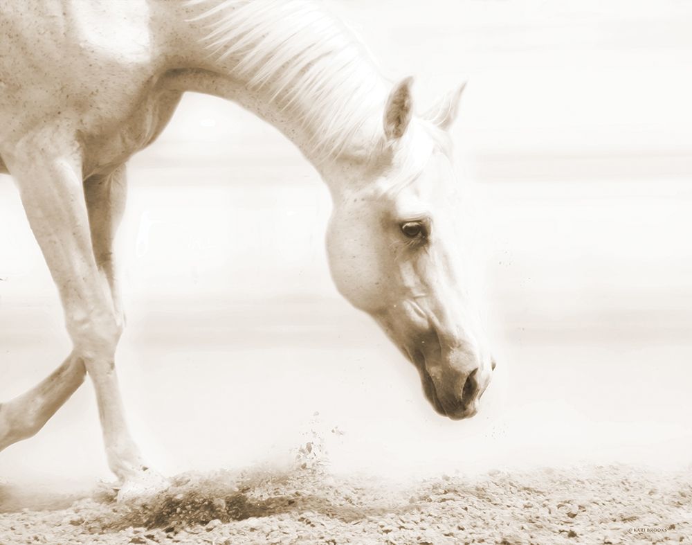 Trail Horse Sepia art print by Kari Brooks for $57.95 CAD