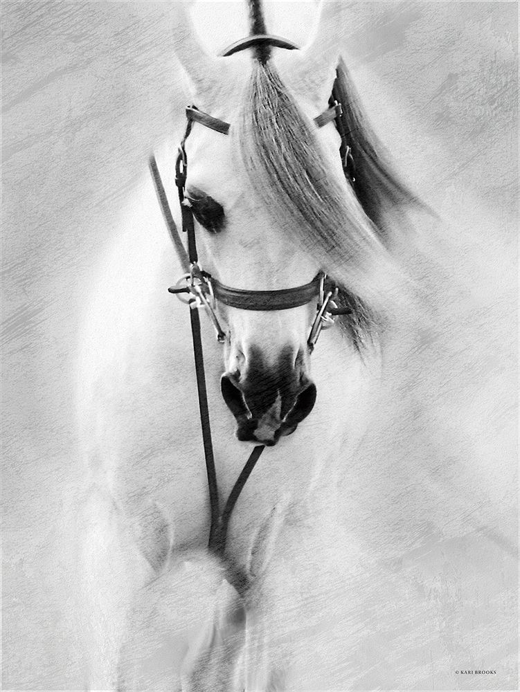 Softly art print by Kari Brooks for $57.95 CAD