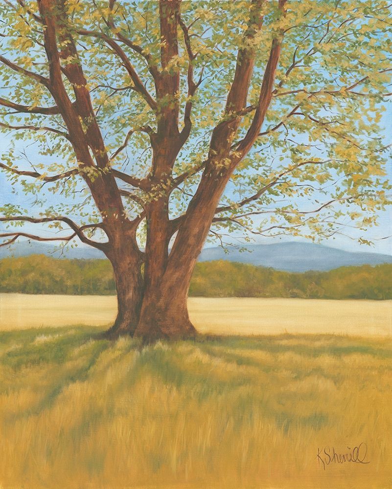 Spring Meadow art print by Kate Sherrill for $57.95 CAD