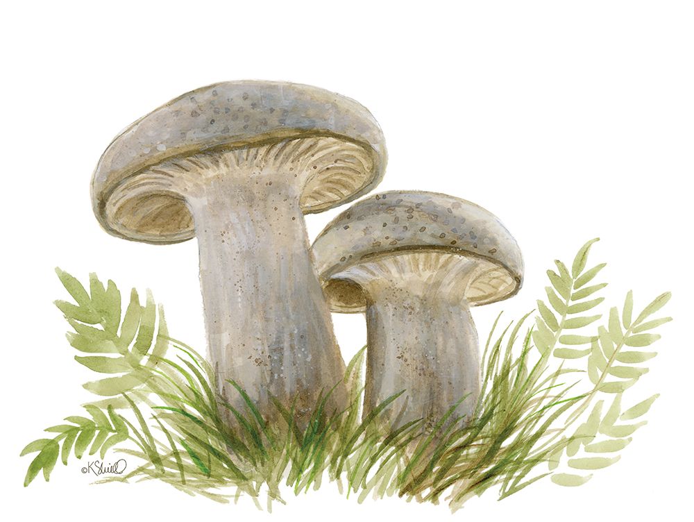 Forest Floor Friends art print by Kate Sherrill for $57.95 CAD
