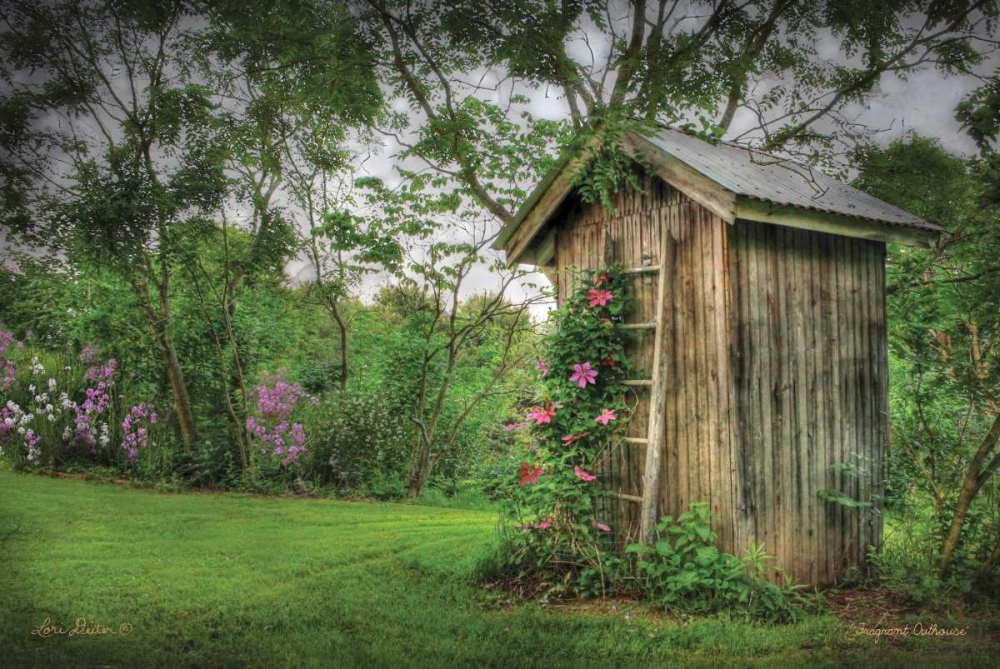 Fragrant Outhouse art print by Lori Deiter for $57.95 CAD