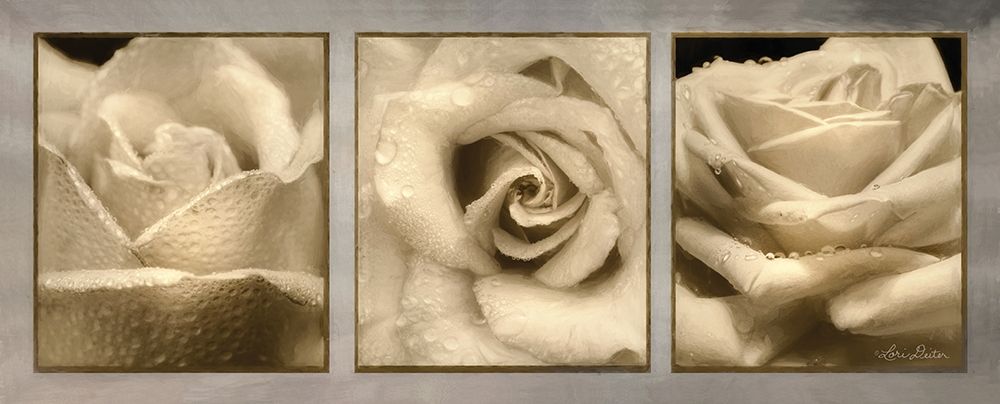 Rose Trio art print by Lori Deiter for $57.95 CAD