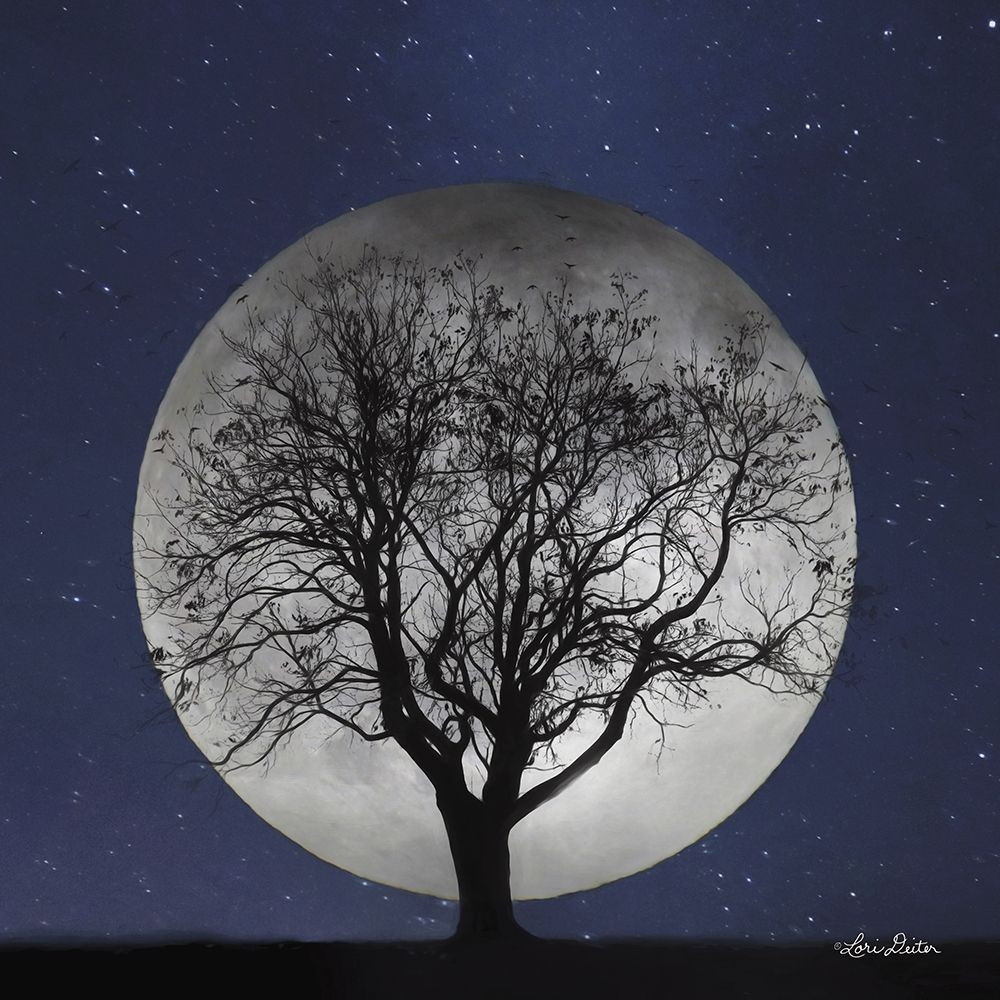 Full Moon art print by Lori Deiter for $57.95 CAD