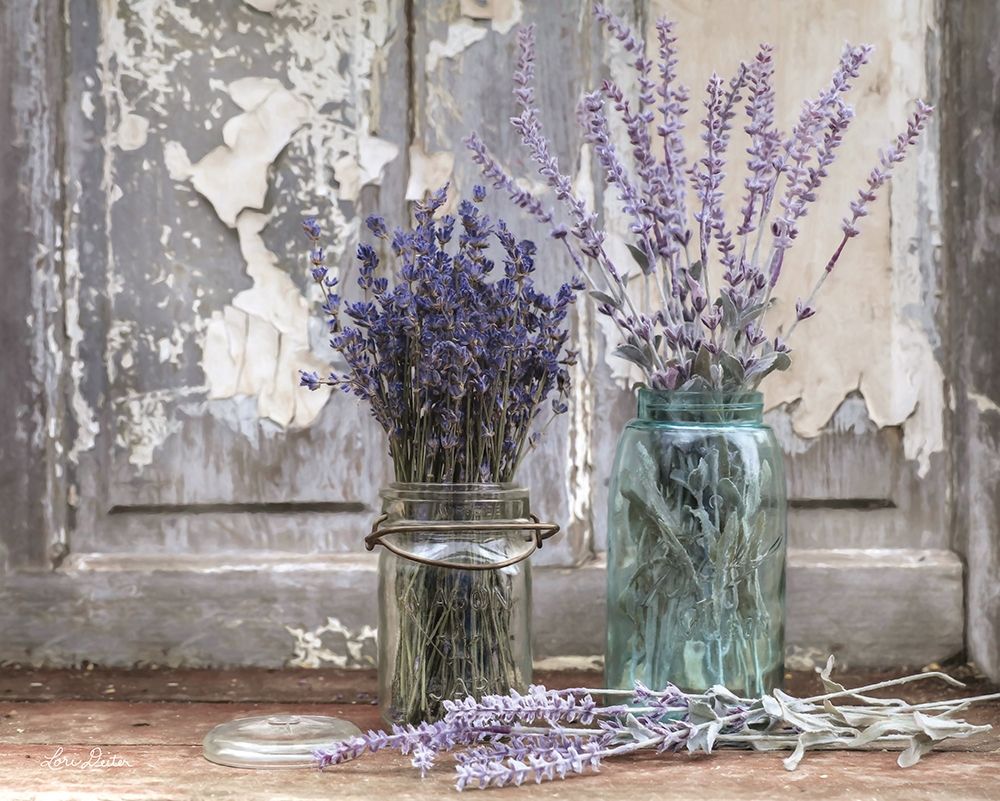Abundance of Beauty art print by Lori Deiter for $57.95 CAD