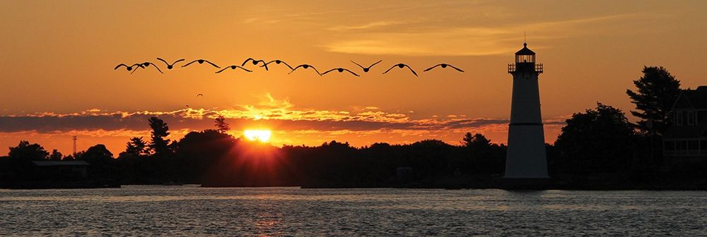 Sunset Flight art print by Lori Deiter for $57.95 CAD