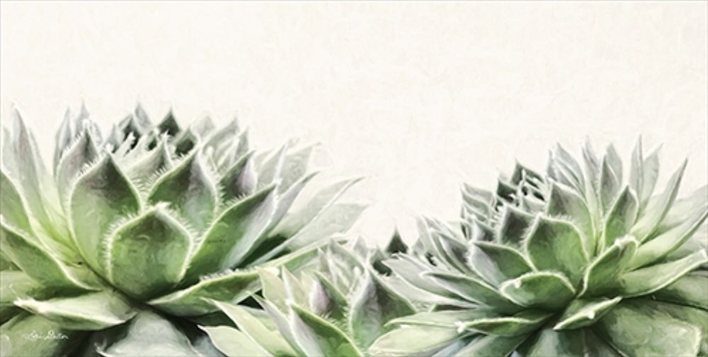 Soft Succulents I art print by Lori Deiter for $57.95 CAD