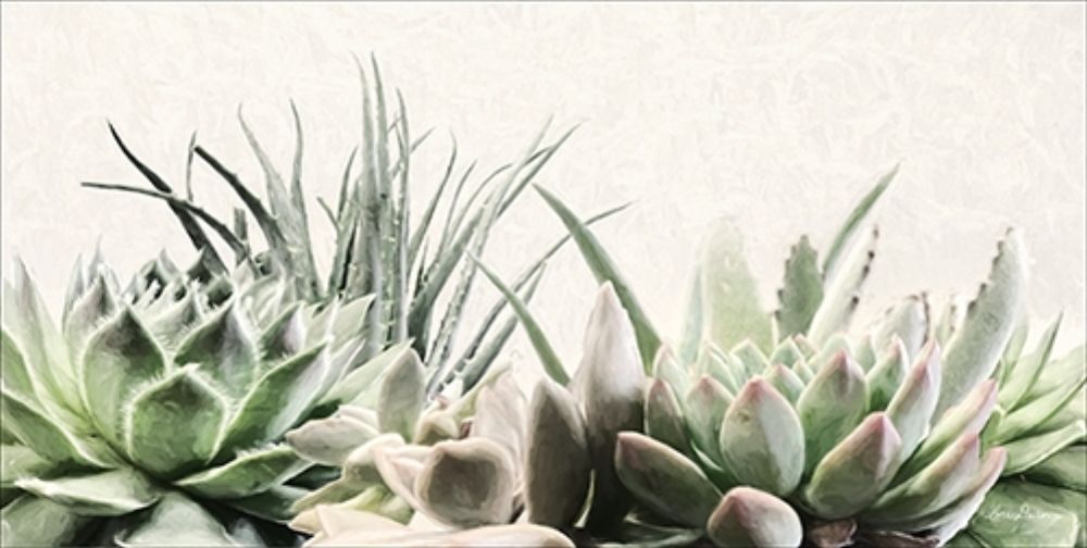 Soft Succulents II art print by Lori Deiter for $57.95 CAD