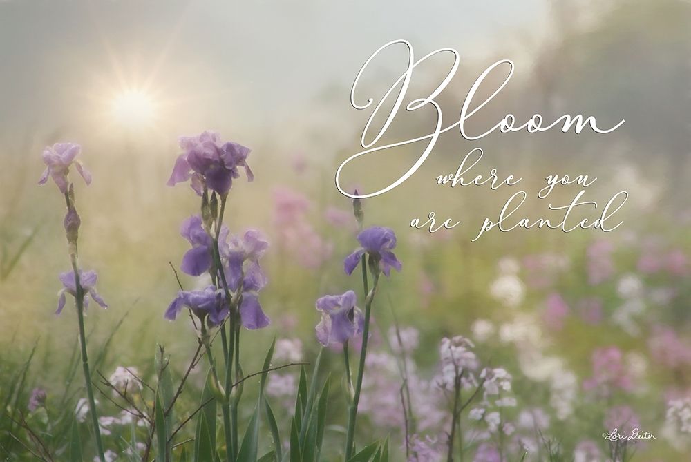 Bloom Where You are Planted art print by Lori Deiter for $57.95 CAD