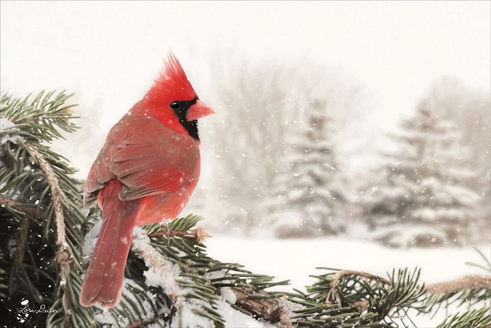 Winter Perch art print by Lori Deiter for $57.95 CAD