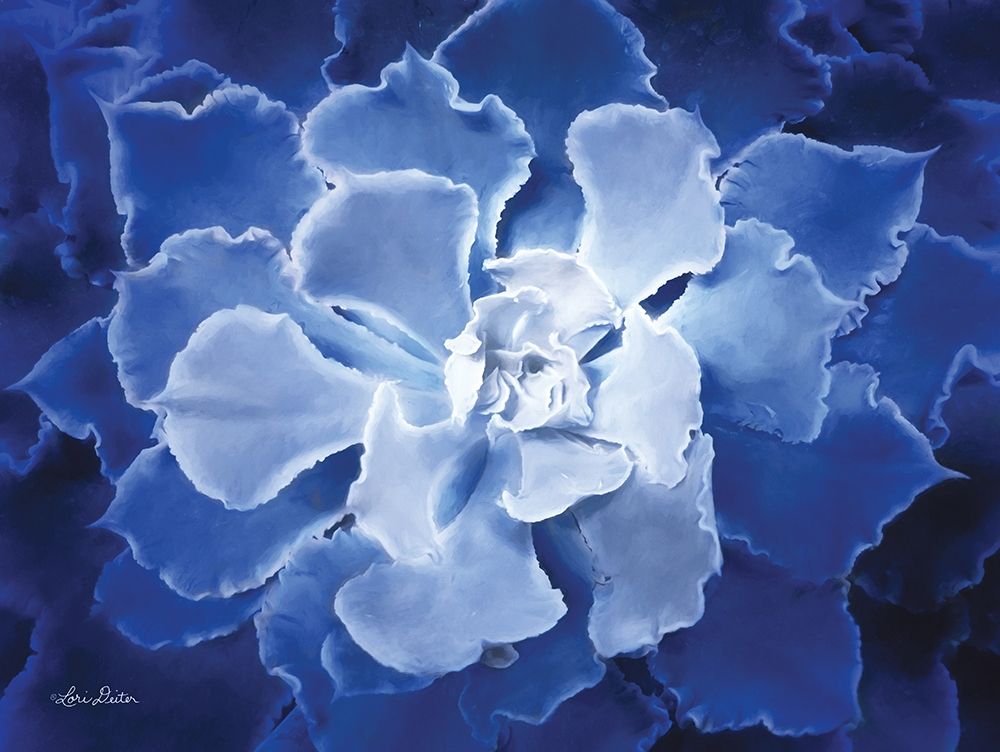 Blue Succulent I art print by Lori Deiter for $57.95 CAD