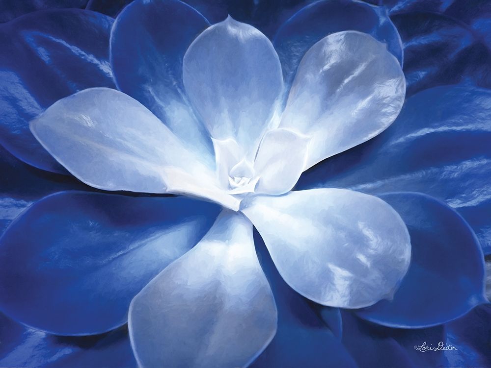 Blue Succulent II art print by Lori Deiter for $57.95 CAD