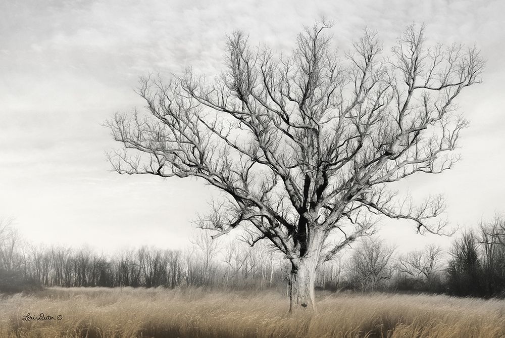 Earth and Sky art print by Lori Deiter for $57.95 CAD