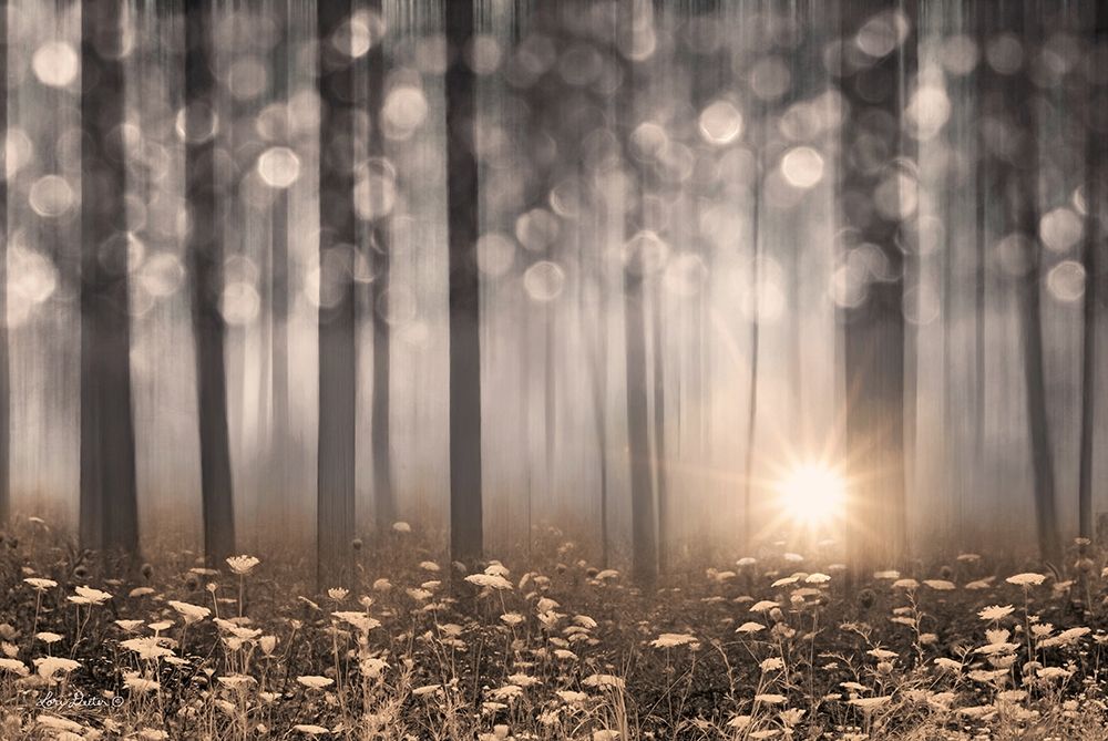 Enchanted Morning art print by Lori Deiter for $57.95 CAD